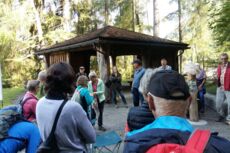 Streifzug durch den Juni Wald - organisiert von LandquartKultur, Landquart (Graubünden)