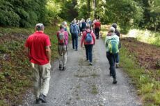 Streifzug durch den Juni Wald - organisiert von LandquartKultur, Landquart (Graubünden)