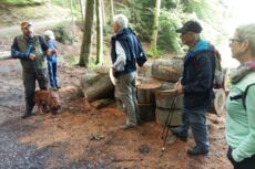 Streifzug durch den Juni Wald - organisiert von LandquartKultur, Landquart (Graubünden)